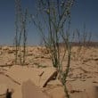 La Jordanie face à la pénurie d'eau - photo IRIN