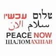la paix maintenant, peace now, Shalom Arshav a trente ans