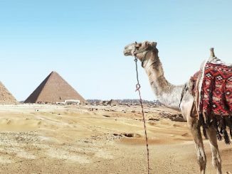 écotourisme en Egypte - Moyen-Orient