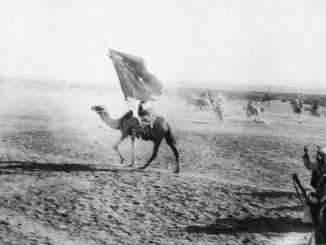 La révolte arabe de 1916 : entre mythe et réalités